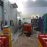 Climatização sala de produção . Granja Shiro Watanabe - Conjuntos de Ar Split piso teto Springer 58.000 BTUs com cortinas de ar nas portas de entrada e comunicação